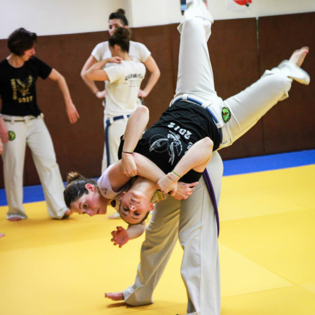Capoeira, Technique.